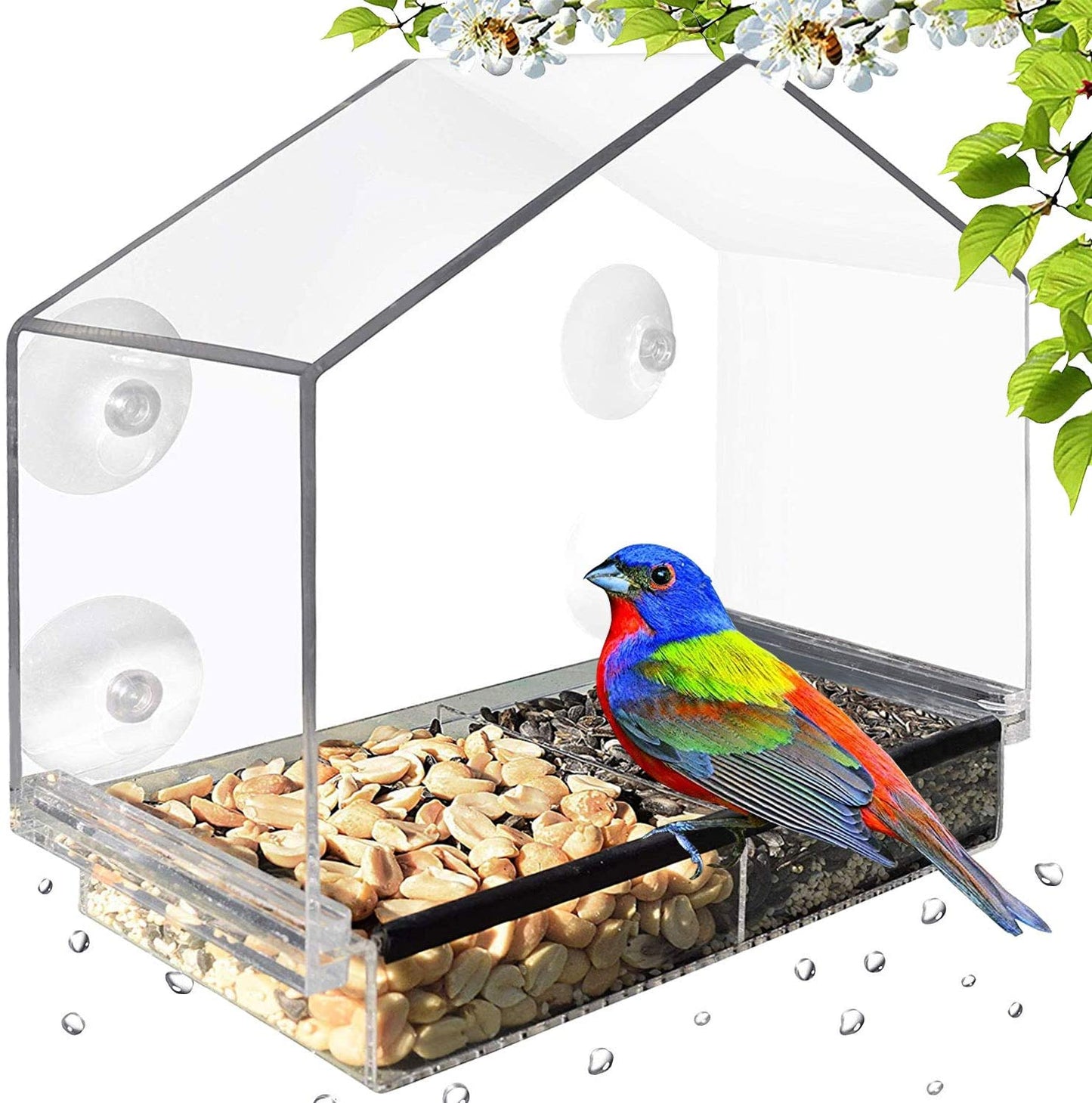 Bird Feeder Window For Outside