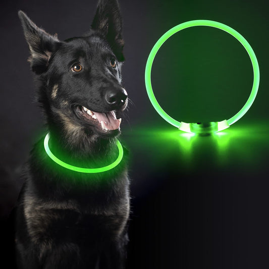 Light up dog collar for night walking